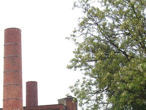 Fabrik und Baum