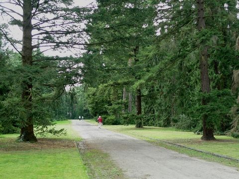 Waldfriedhof Dahlem Allee