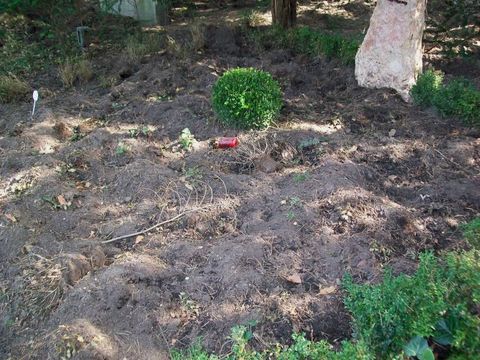 Wilschweinschaden an einer Grabstelle