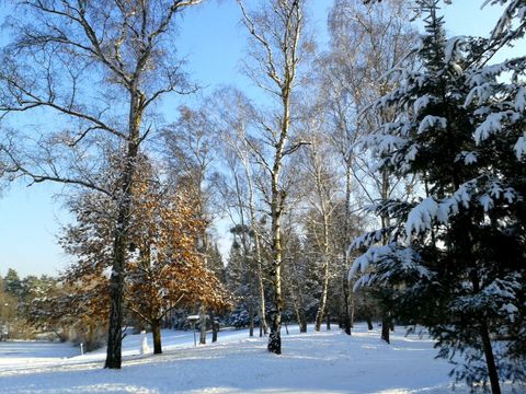 Winterimpression