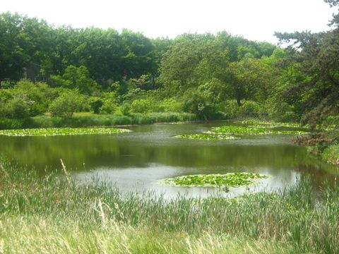 Blick auf See
