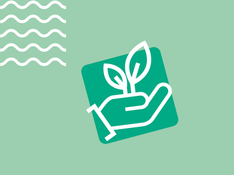 Startseite_Klimaschutz in Steglitz-Zehlendorf