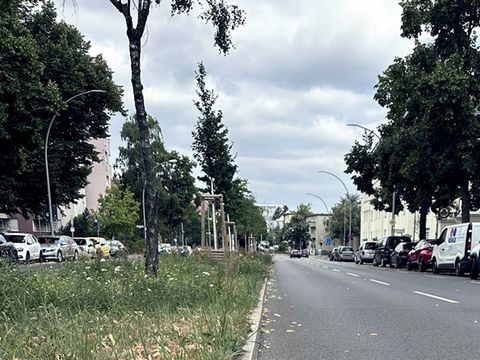 2022 Straßenbegleitgrün