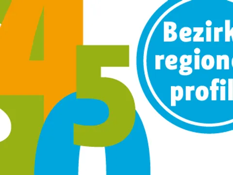 spk-web-teaser-bezirksr