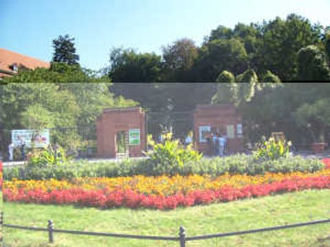 Botanischer Garten