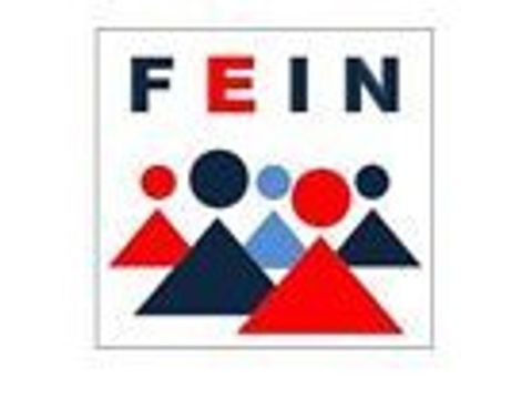 FEIN Logo