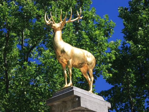 Goldener Hirsch