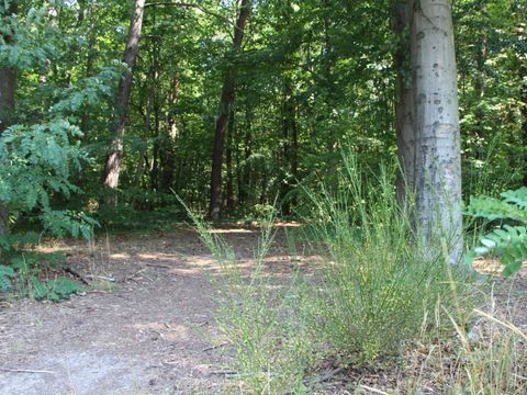 (Bild: Pressestelle Tempelhof-Schöneberg)