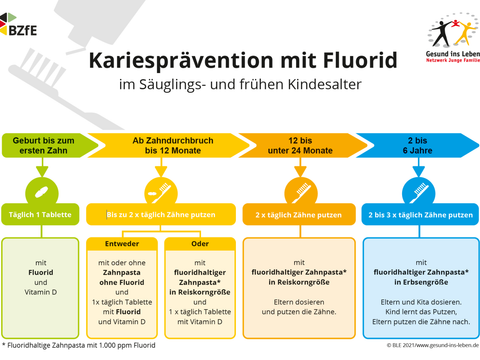 (Bild: Netzwerk Gesund ins Leben)