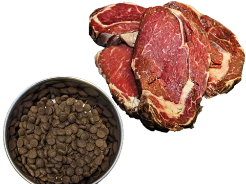 Eine Schale mit Trockenfutter neben drei Scheiben rohen Rindersteaks.