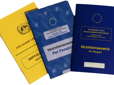 Zwei Heimtierausweise Blau und ein Impfpass für Hunde und Katzen gelb, gefächert