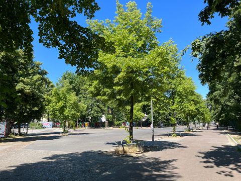 Wochenmarkt in der Crellestraße