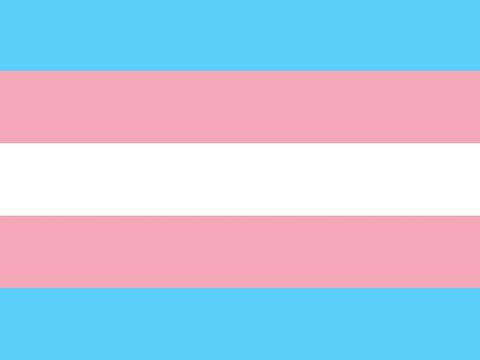 fünf waagerechte Streifen in den Farben Hellblau, Pink, Weiß, Pink und Hellblau