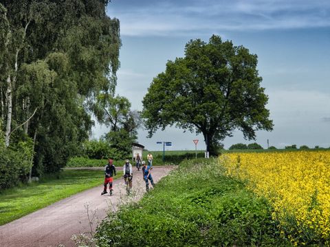 (Bild: Landkreis Teltow-Fläming)