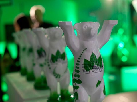 Green Buddy Bären