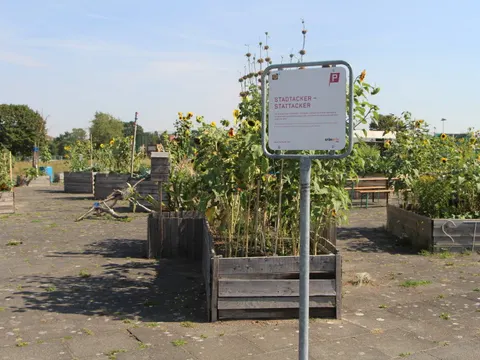STADTACKER – STATTACKER