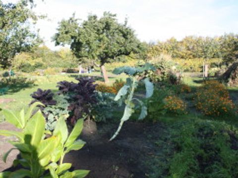 Gartenarbeitsschule ( aus dem Archiv der Pressestelle)
