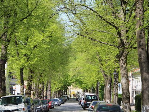 Blick in die Straße Im Domstift