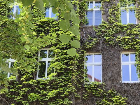 Begrünte Hausfassade