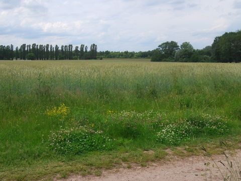 Landschaft
