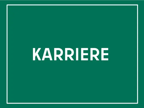 Karriere