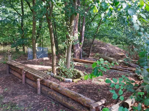 Wald im Freilandlabor