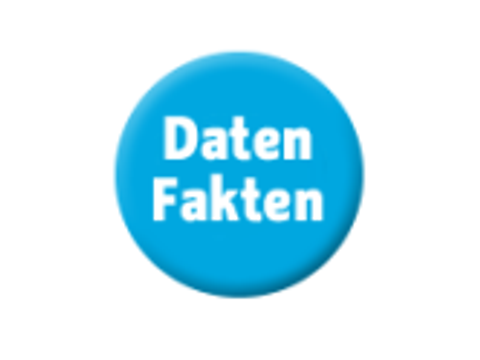 Icon Daten und Fakten