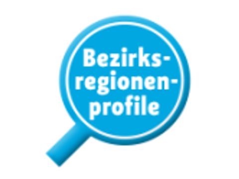 Icon Bezirksregionenprofile