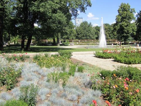 Rosengarten im Treptower Park - Seerosenbecken
