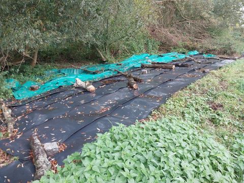 Folie in den Hirschgartenwiesen ausgelegt
