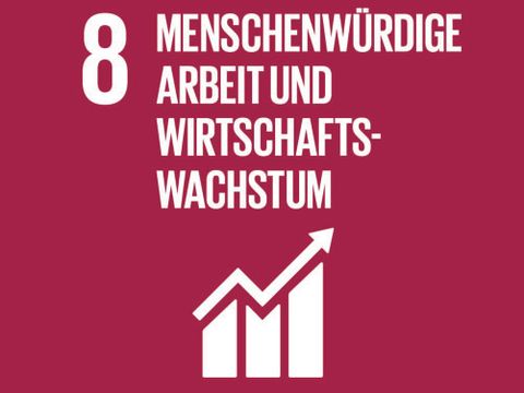 (Bild: United Nations / globalgoals.org)
