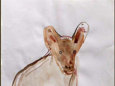 (Bild: Kerstin Seltmann)