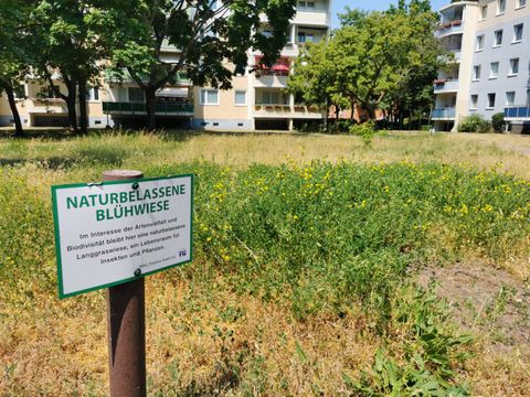 (Bild: BA Treptow-Köpenick)