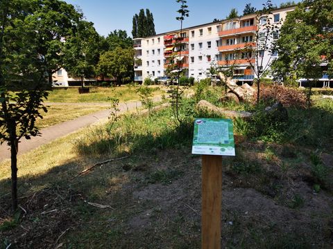 (Bild: BA Treptow-Köpenick)