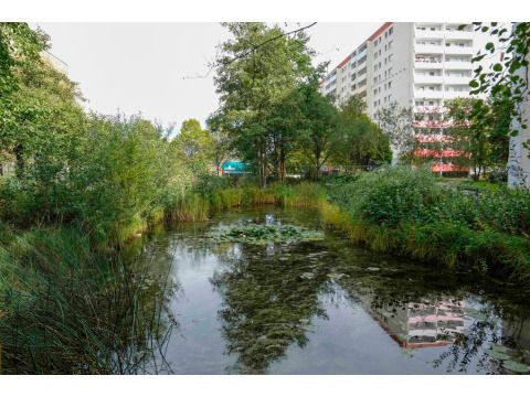 Teich im Kosmosviertel