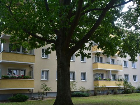 Straßenbaum vor Häuserzeile