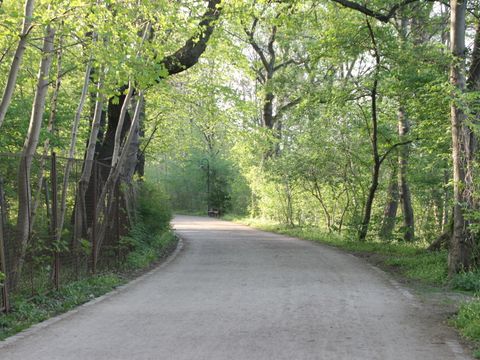 Plänterwald