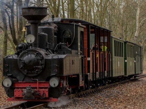 Dampflok Parkeisenbahn Wuhlheide