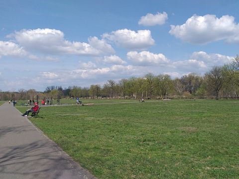 Wuhlheide große Waldwiese