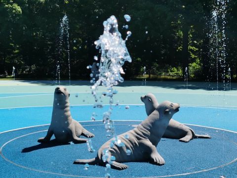 Wasserspeiende Seehunde im Ozeanstrudel - Themenbid