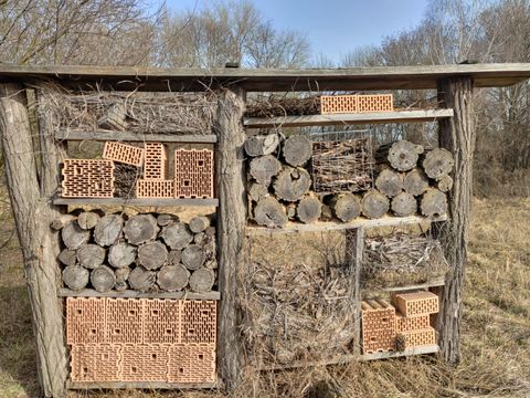 Insektenhotel