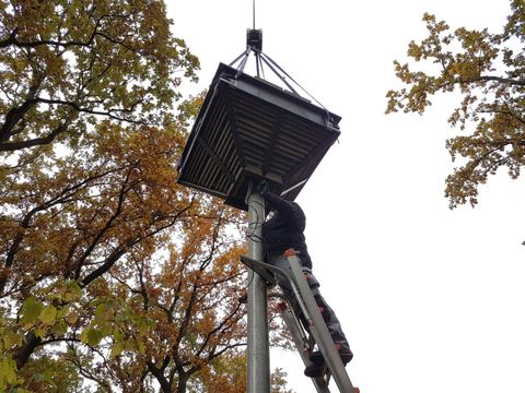 Errichtung eines Fledermaushauses