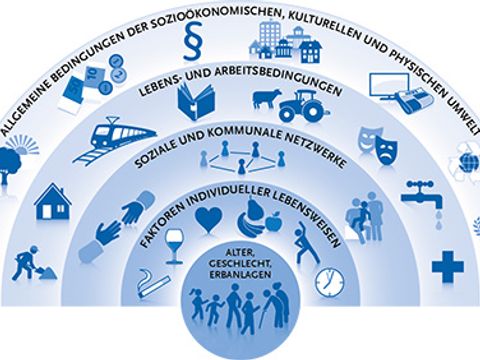 Modell der Determinanten der Gesundheit, das zeigt auf welchen Ebenen Gesundheitsförderung ansetzt. Modifikation nach Gesundheit Österreich GmbH, Quelle: Dahlgren G, Whitehead M (1991)