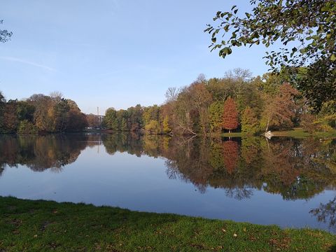 Herbstimpression am Karpfenteich 2019