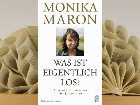 Buch mit gefalteten Blättern im Hintergrund