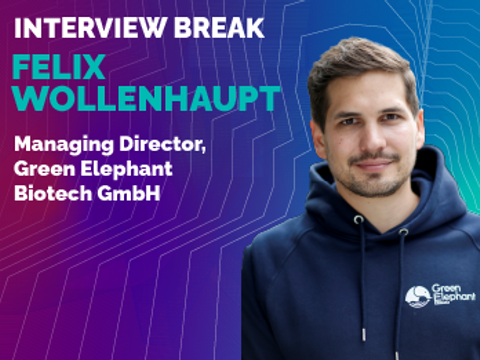 Interview mit Green Elephant