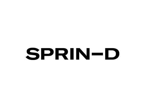 Logo Partner Sprin-d