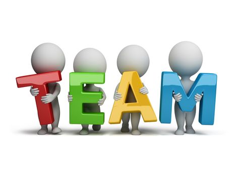 3D Team