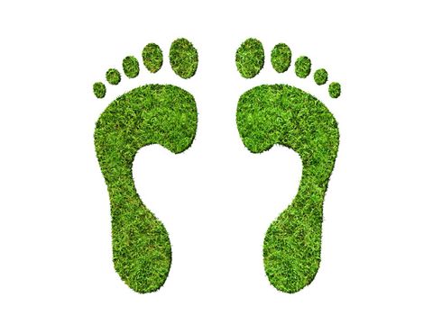 Green footprints