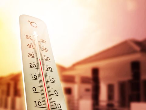 Thermometer